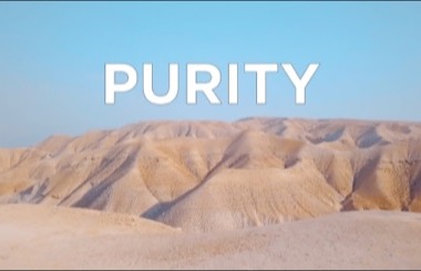 Authentic PURITY